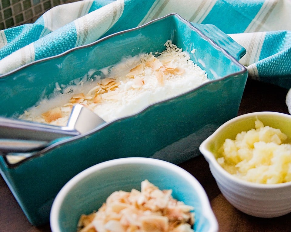 Coconut Pineapple Frozen Yogurt xoxoBella