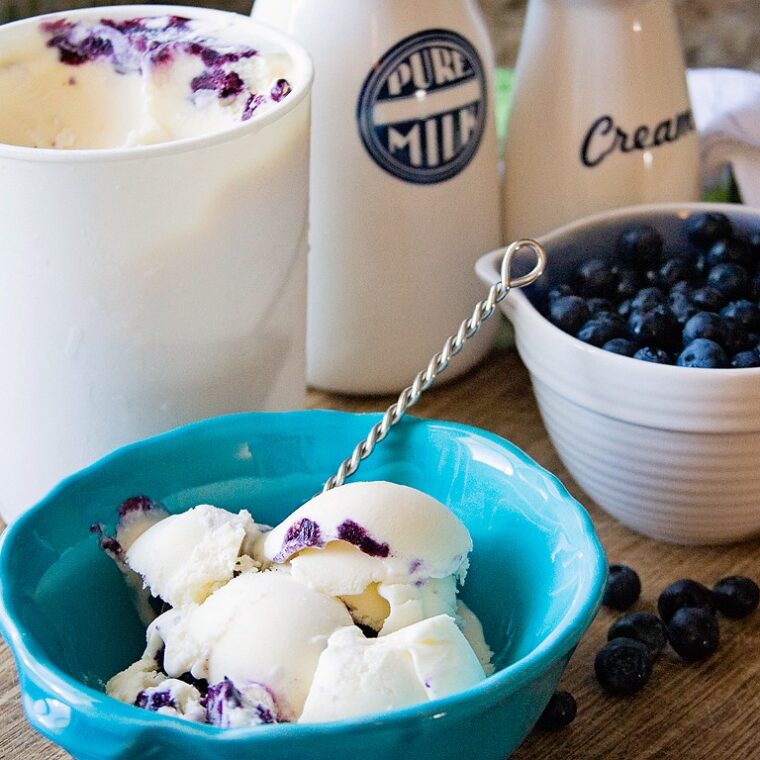 Blueberry Cheesecake Ice Cream xoxoBella