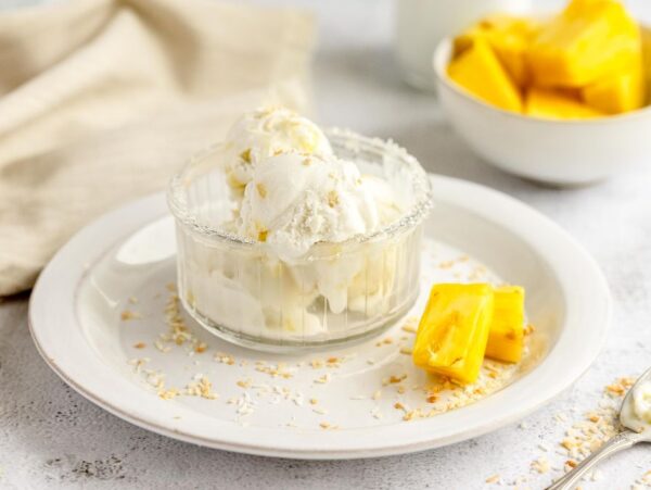 A bowl of frozen yogurt ice cream with coconut flakes and jackfruit pieces on a white plate, with a spoon and napkin nearby—perfect inspiration if you want to make froyo at home.