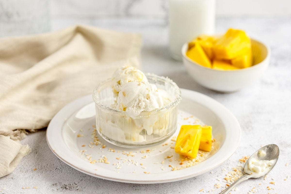 A bowl of vanilla ice cream with coconut flakes, served with jackfruit pieces on a white plate, reminiscent of a Piña Colada frozen treat.