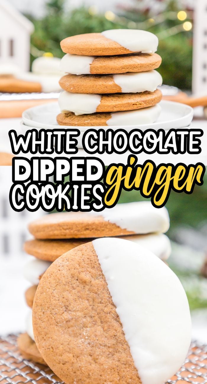 Stack of ginger cookies half-dipped in white chocolate, labeled as gingerbread white chocolate cookies—a festive twist on classic Christmas ginger snap cookies.