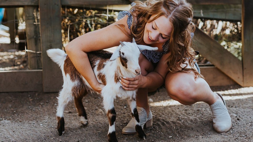 Blogger Bella Bucchiotti of xoxoBella.com shares a trip to Maan Farms in Abbotsford, BC to see the corn maze and farm animals.