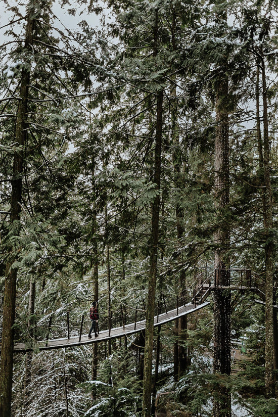 Capilano Suspension Bridge in the Winter & Canyon Lights Festival