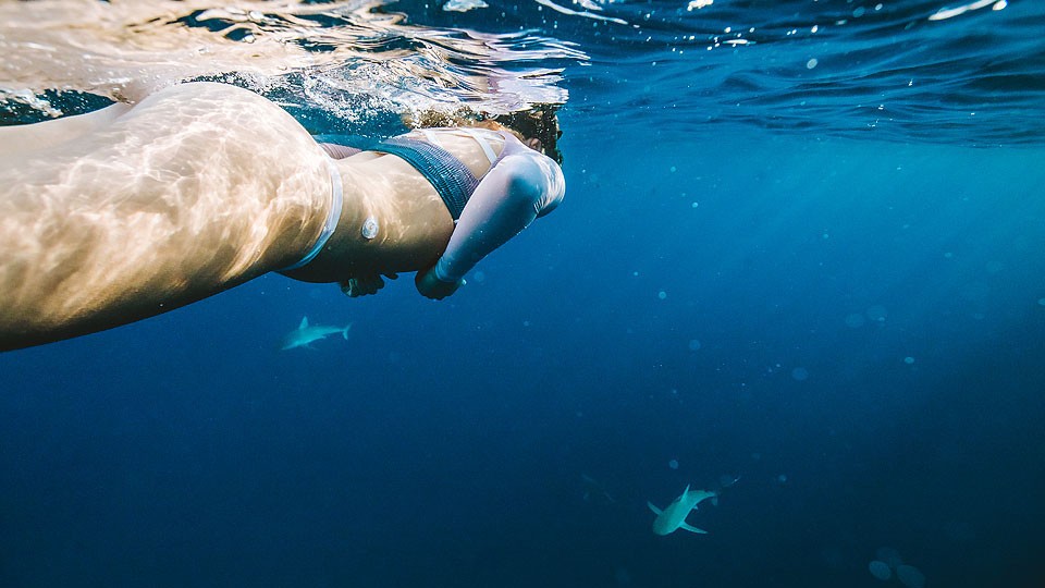 Travel blogger, Bella Bucchiotti of xoxoBella, share her experience swimming with sharks in Oahu with One Ocean Diving in Hawaii.