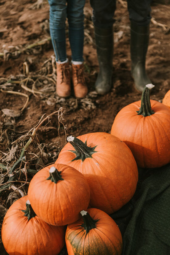 8 Fabulous Fall Date Ideas xoxoBella