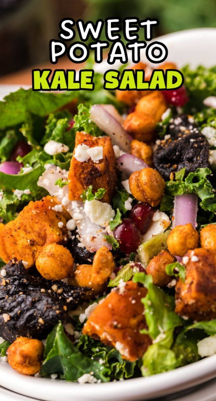 Close-up of sweet potato kale salad with chickpeas, red onion, cheese, and pomegranate seeds in a white bowl—a vibrant and nourishing kale salad perfect for any meal.
