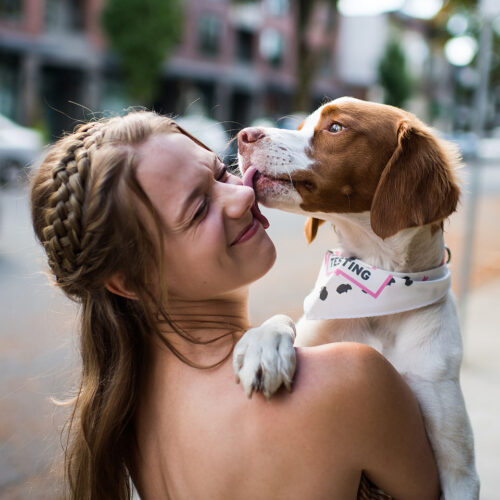 24 Dog Instagram Accounts to Follow xoxoBella