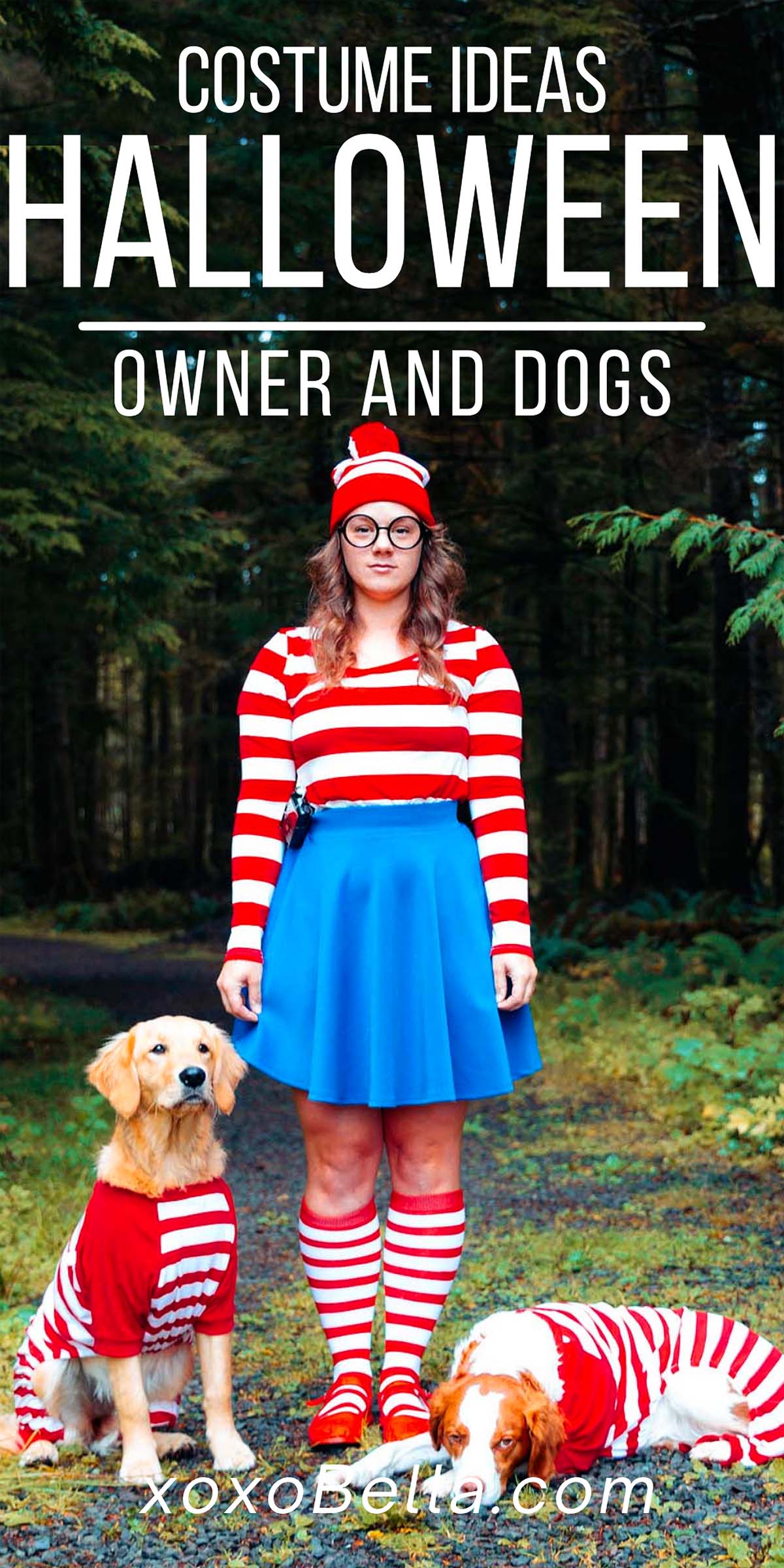 26 Scary Cute Dog and Owner Halloween Costume Ideas xoxoBella
