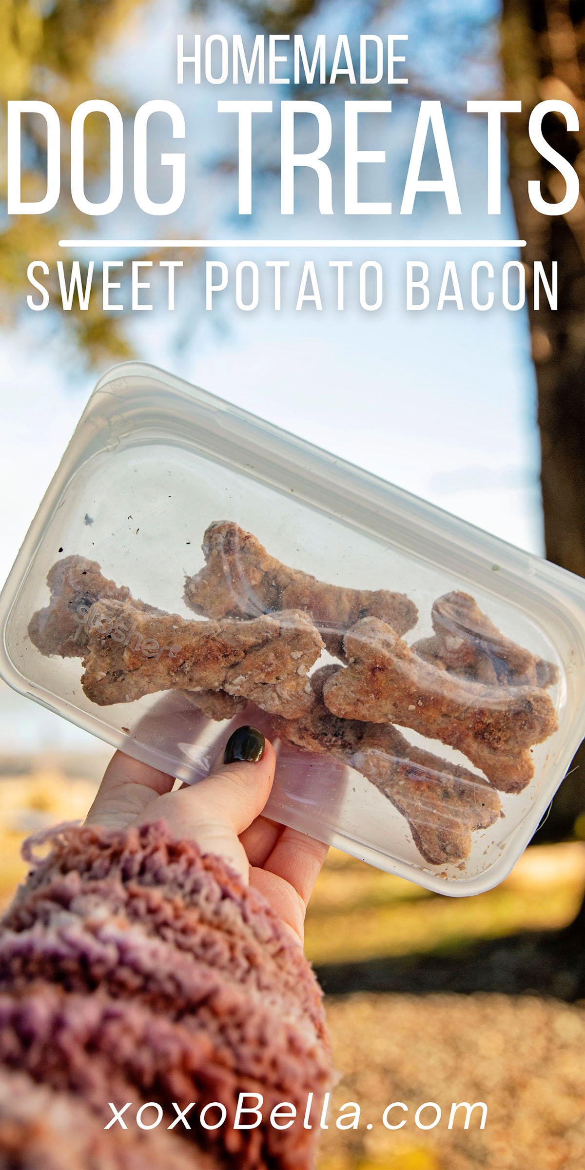 Sweet Potato and Bacon Dog Treat Recipe xoxoBella
