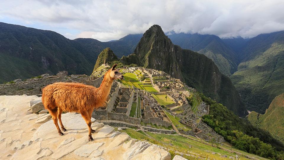 Travel blogger, Bella Bucchiotti of xoxoBella, shares the best online virtual experiences. During the current period, these online field trips and experiences are a great!