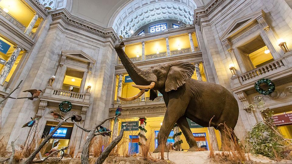 11 Virtual Museum Tours from Around the World
