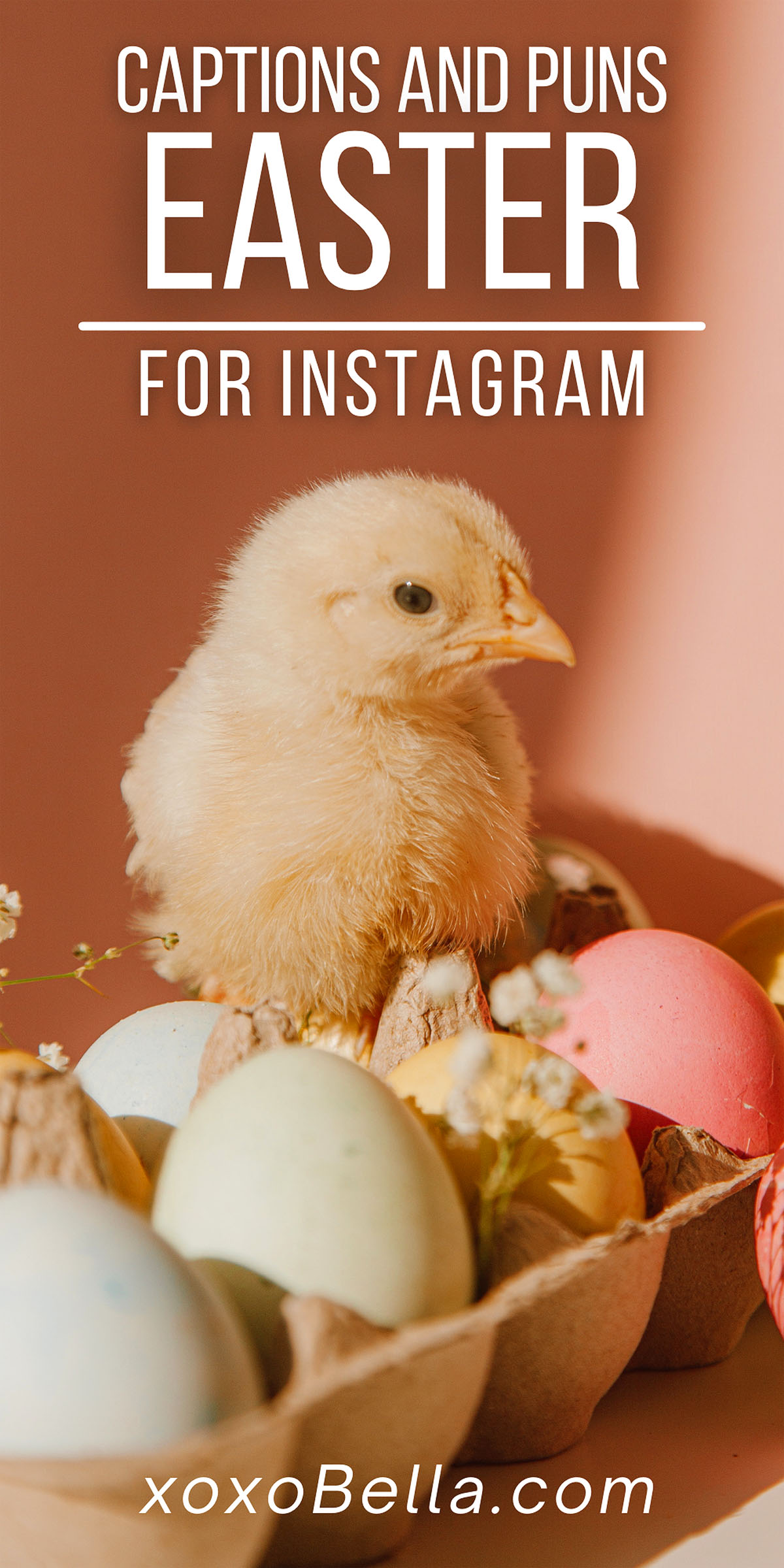 90 Easter Captions to Keep your Instagram Hopping xoxoBella