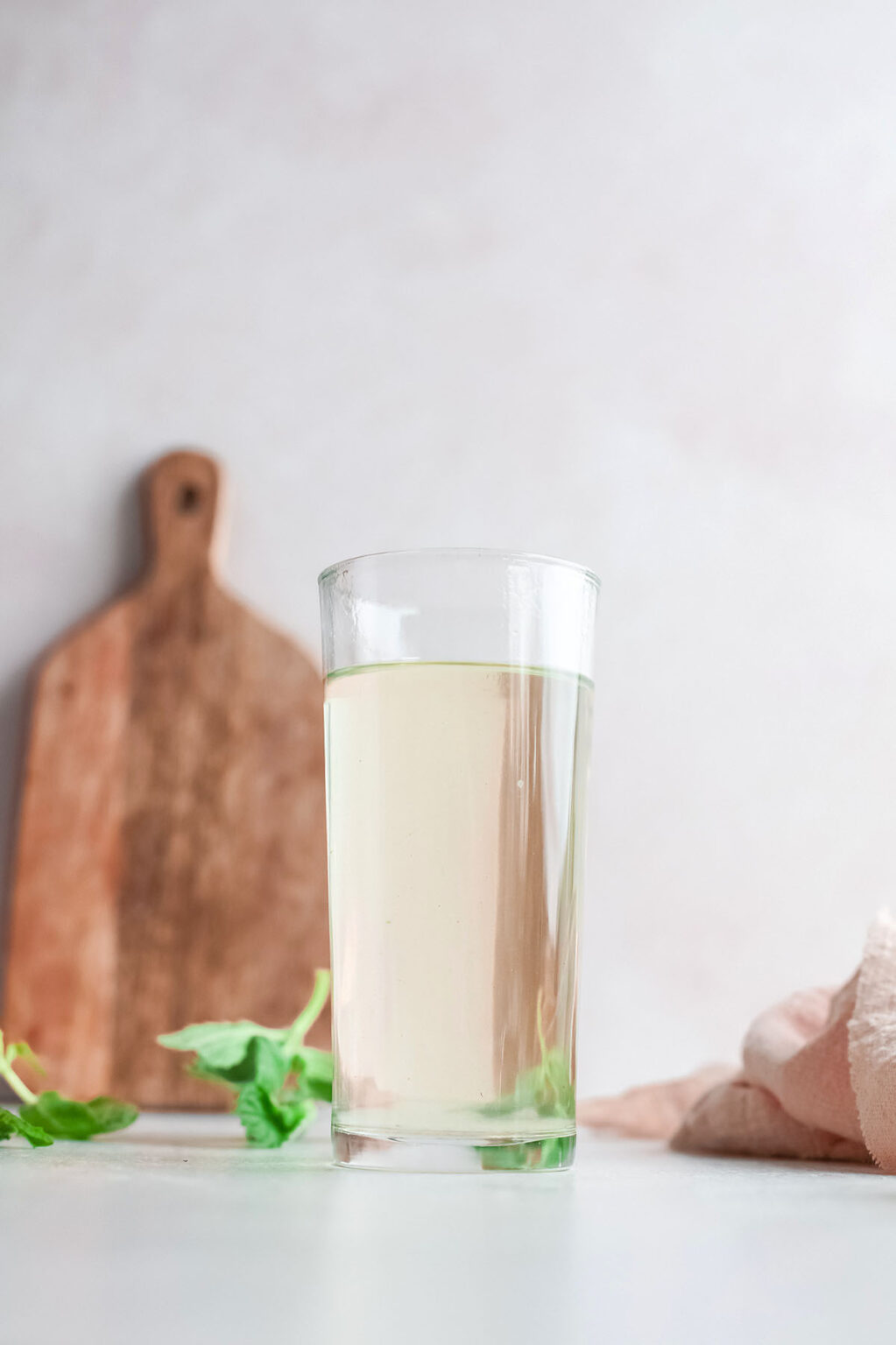 Easy Frozen Mint Julep Slushie xoxoBella