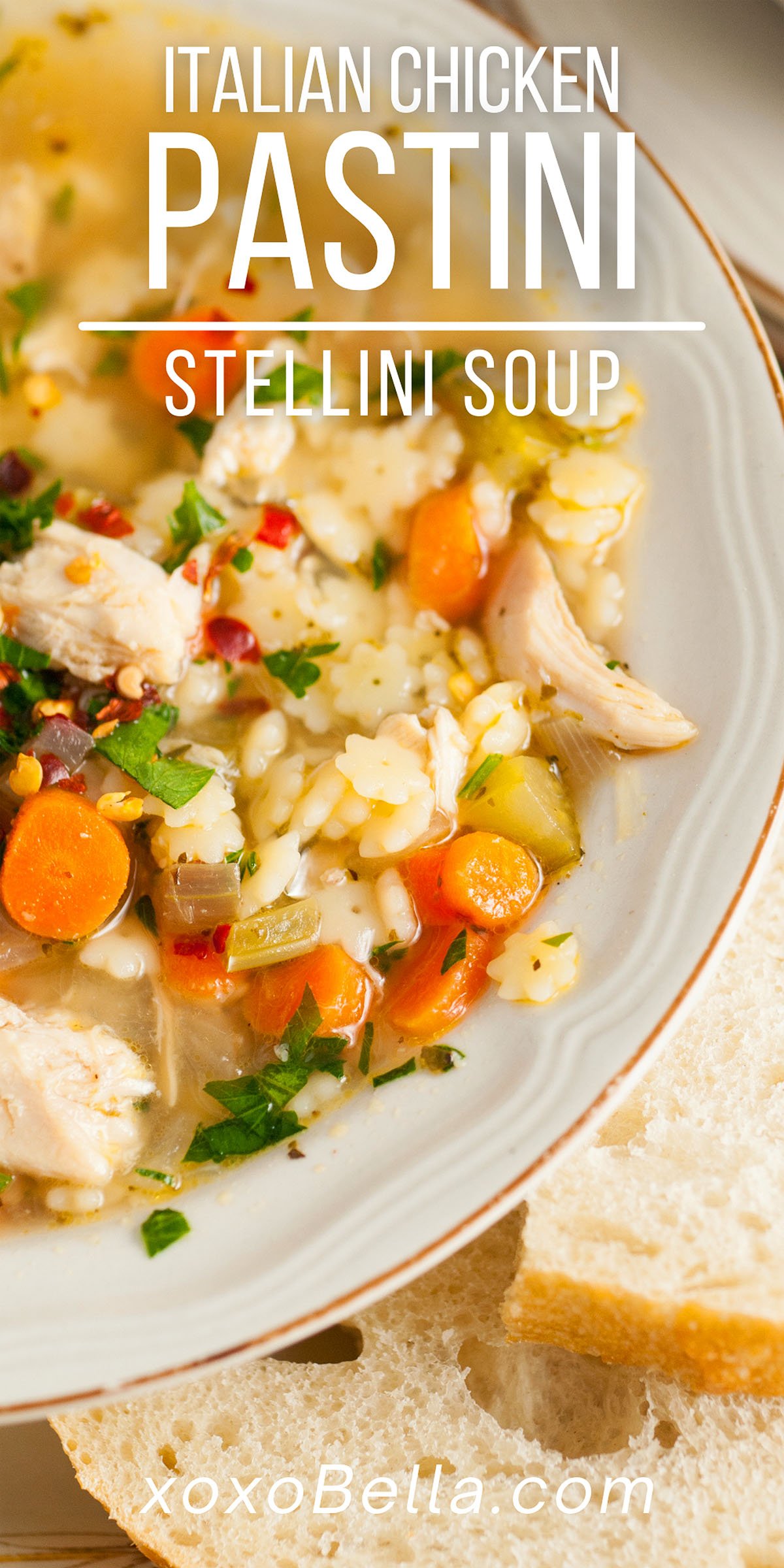 Chicken Pastina Soup xoxoBella