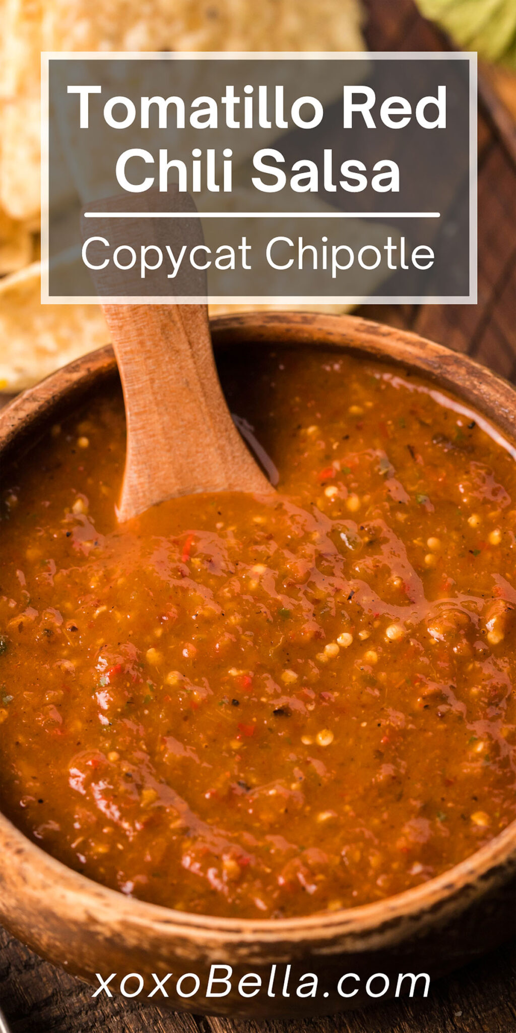 Tomatillo Red Chili Salsa Copycat Chipotle Hot Salsa