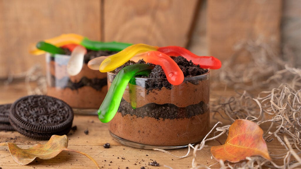 Food blogger, Bella Bucchiotti of xoxoBella shares a recipe for boozy Bailey's snake den dirt cups for adults. These worm and dirt parfaits are tasty dessert cocktails.