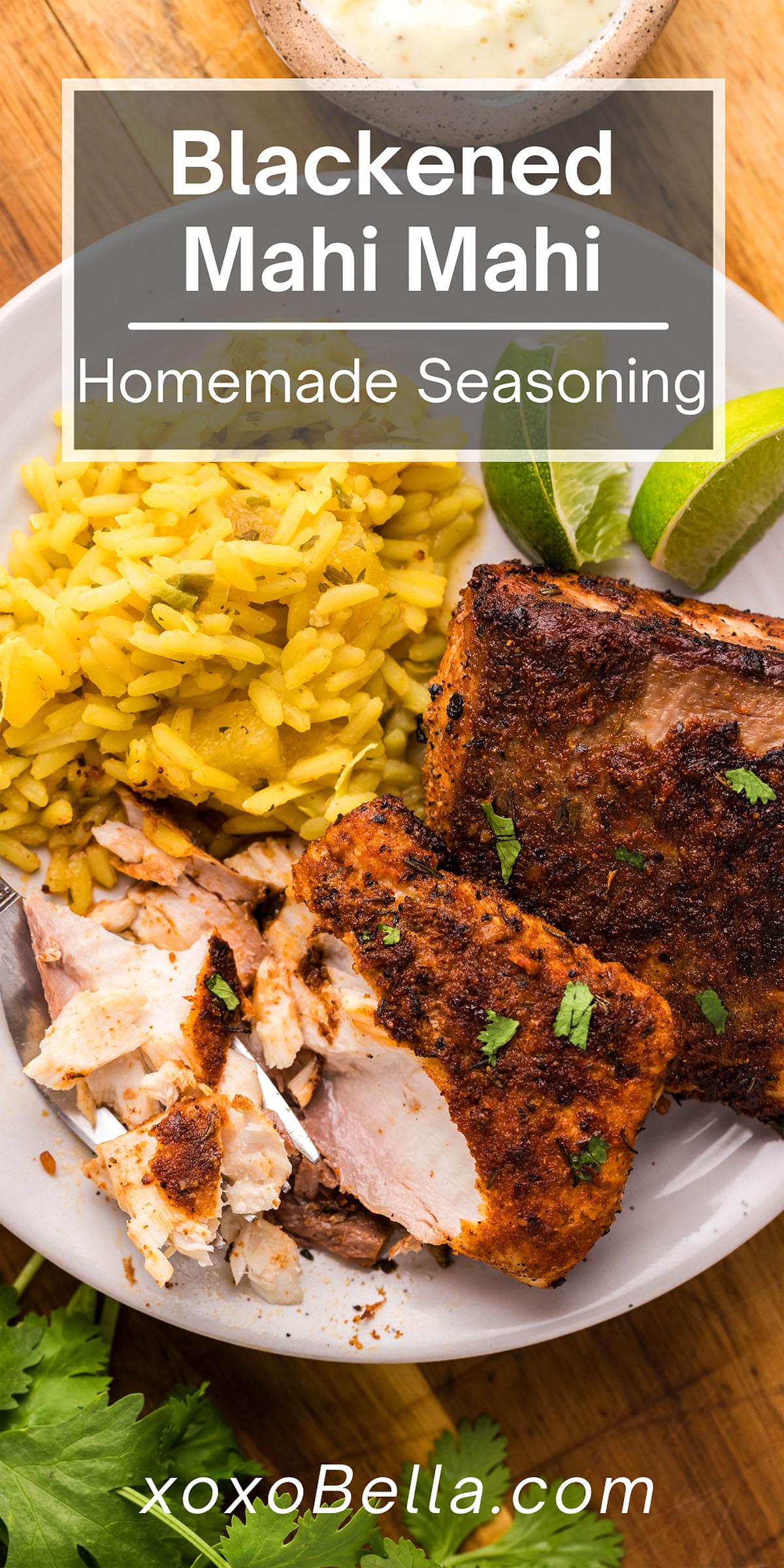 Blackened Mahi Mahi with Homemade Seasoning xoxoBella