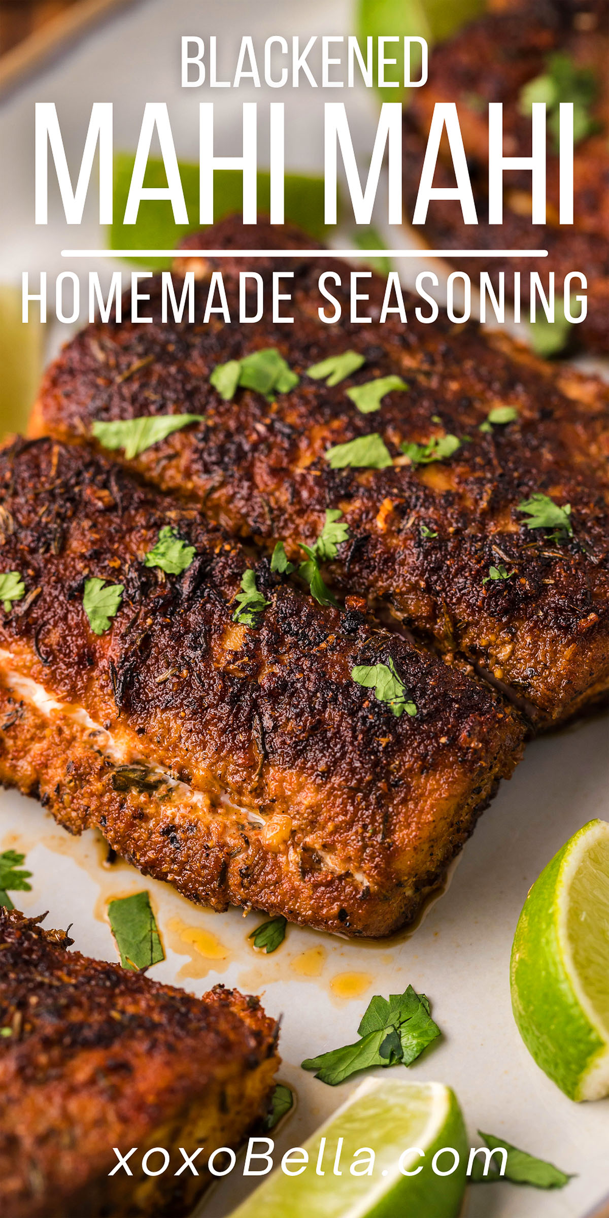 Blackened Mahi Mahi with Homemade Seasoning xoxoBella