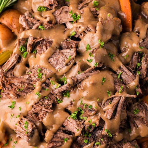 Slow Cooker Pot Roast with Red Wine xoxoBella