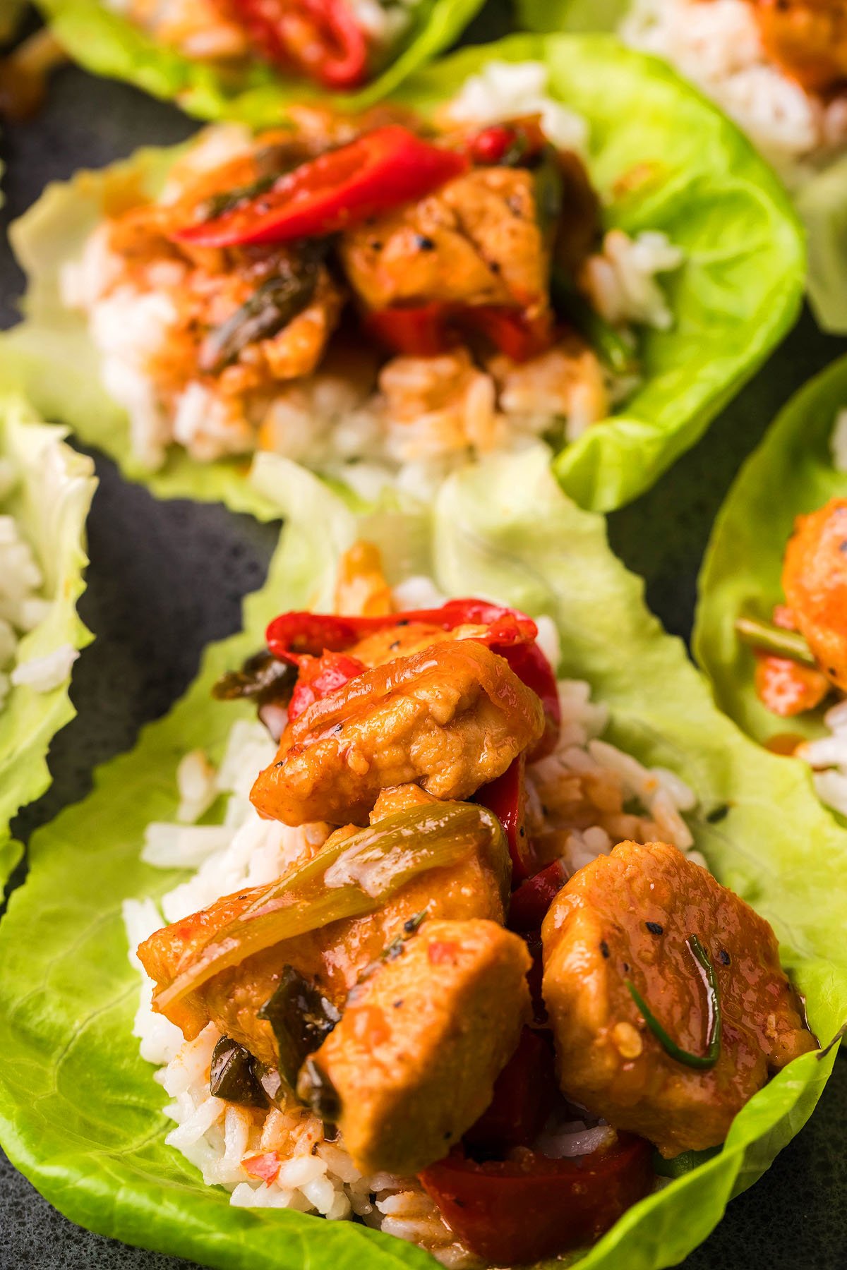 Food blogger, Bella Bucchiotti of xoxoBella, shares a recipe for Gochujang chicken Korean stir fry. You will love this Korean inspired meal with sweet and spicy sauce.