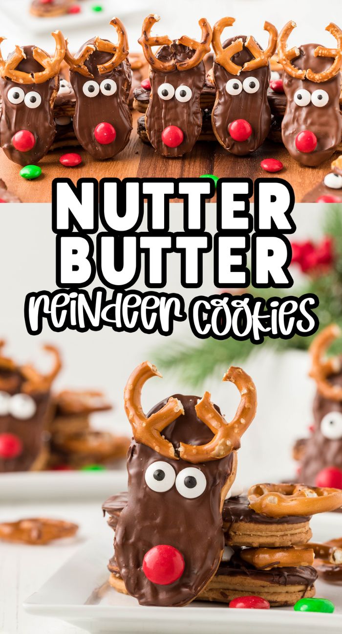Perfect for holiday parties, these Nutter Butter Reindeer Cookies feature chocolate-covered Nutter Butters with pretzel antlers and red candy noses for a festive treat everyone will love.