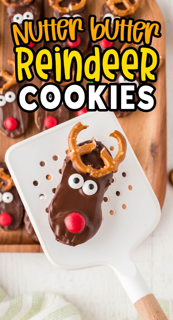 A spatula holds a Nutter Butter Reindeer cookie topped with pretzel antlers, candy eyes, and a red nose.