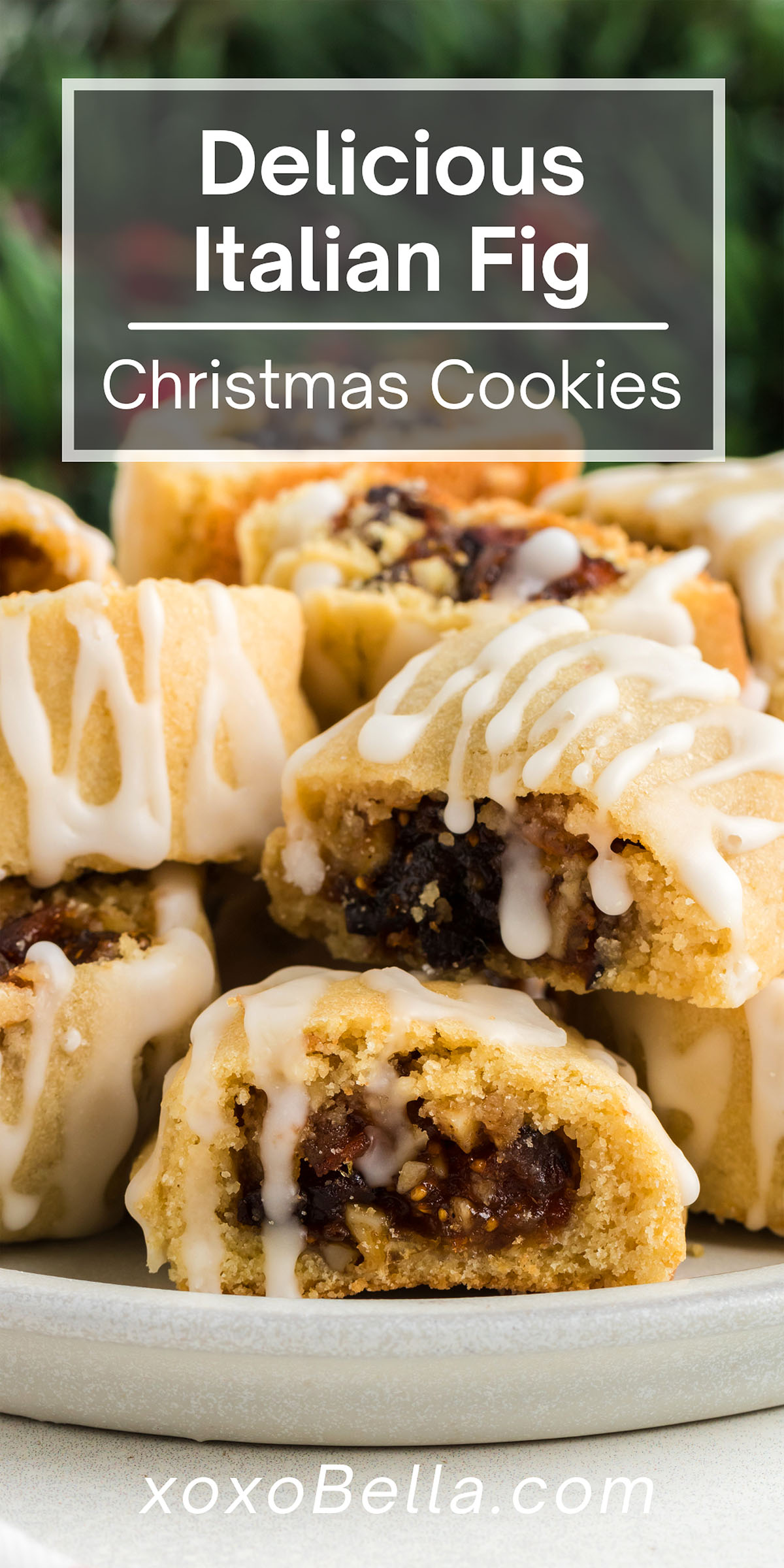 Italian Fig Christmas Cookies Cucidati xoxoBella