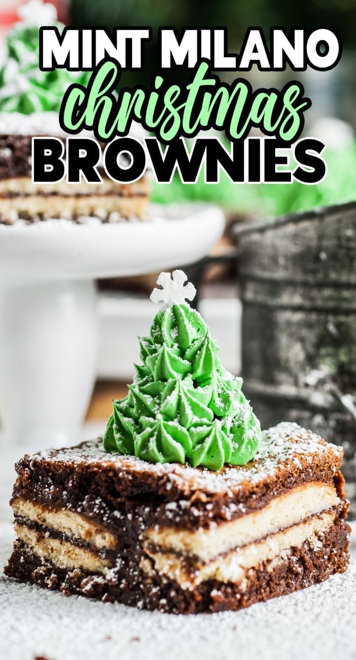 Mint Milano Christmas Brownies topped with green frosting and decorated with a Christmas tree shape, then dusted with powdered sugar.