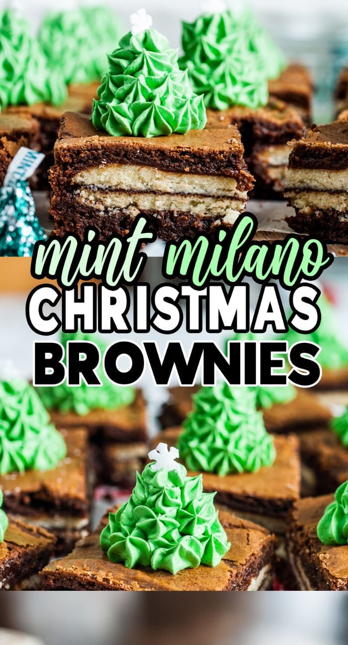 Mint Milano Christmas Brownies: fudgy mint brownies decorated with a Christmas tree made of green frosting and sprinkled with white stars.