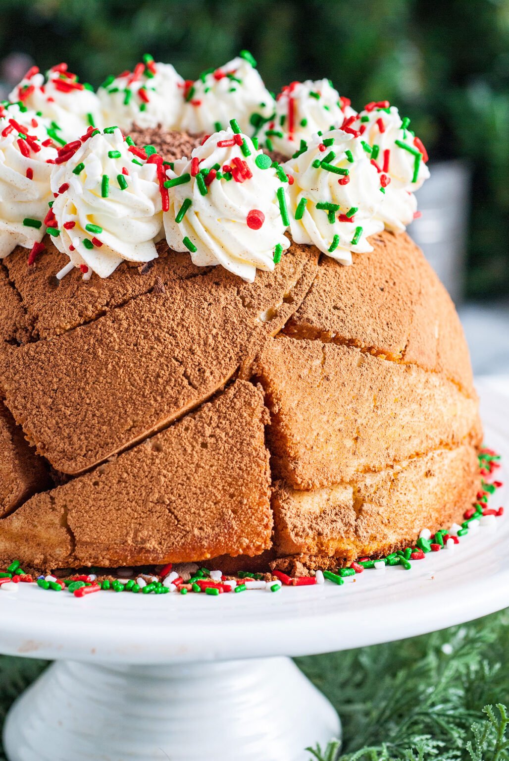 Easy Italian Christmas Zuccotto Cake - xoxoBella