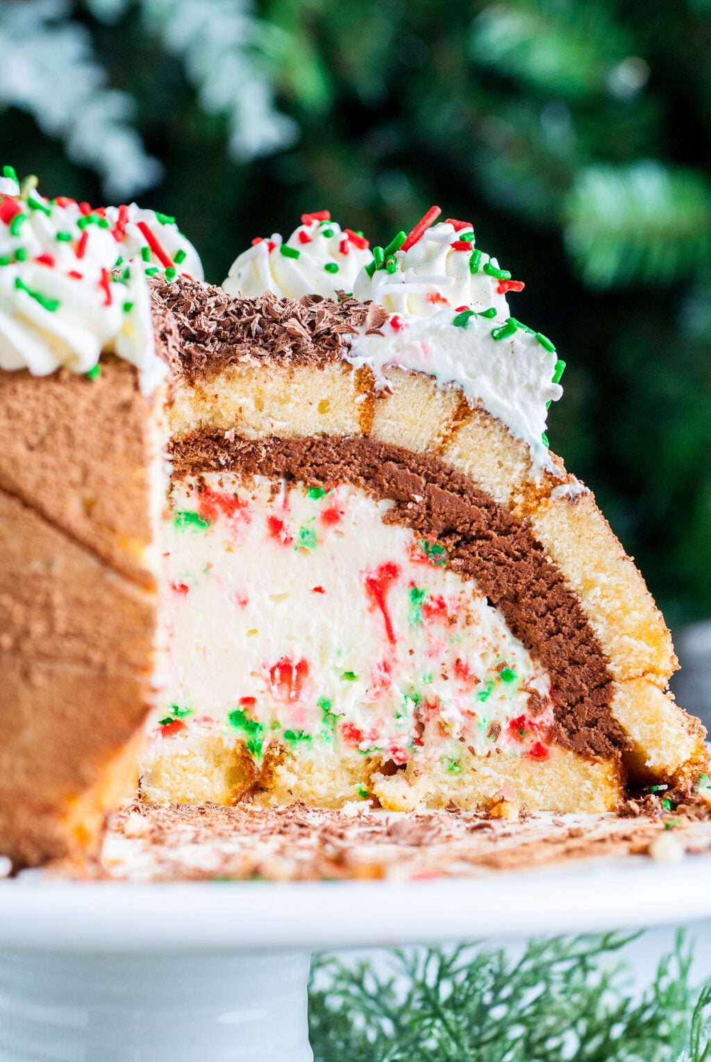 Holiday zuccotto cake filled with creamy, festive filling and sprinkles, topped with whipped cream and more sprinkles.