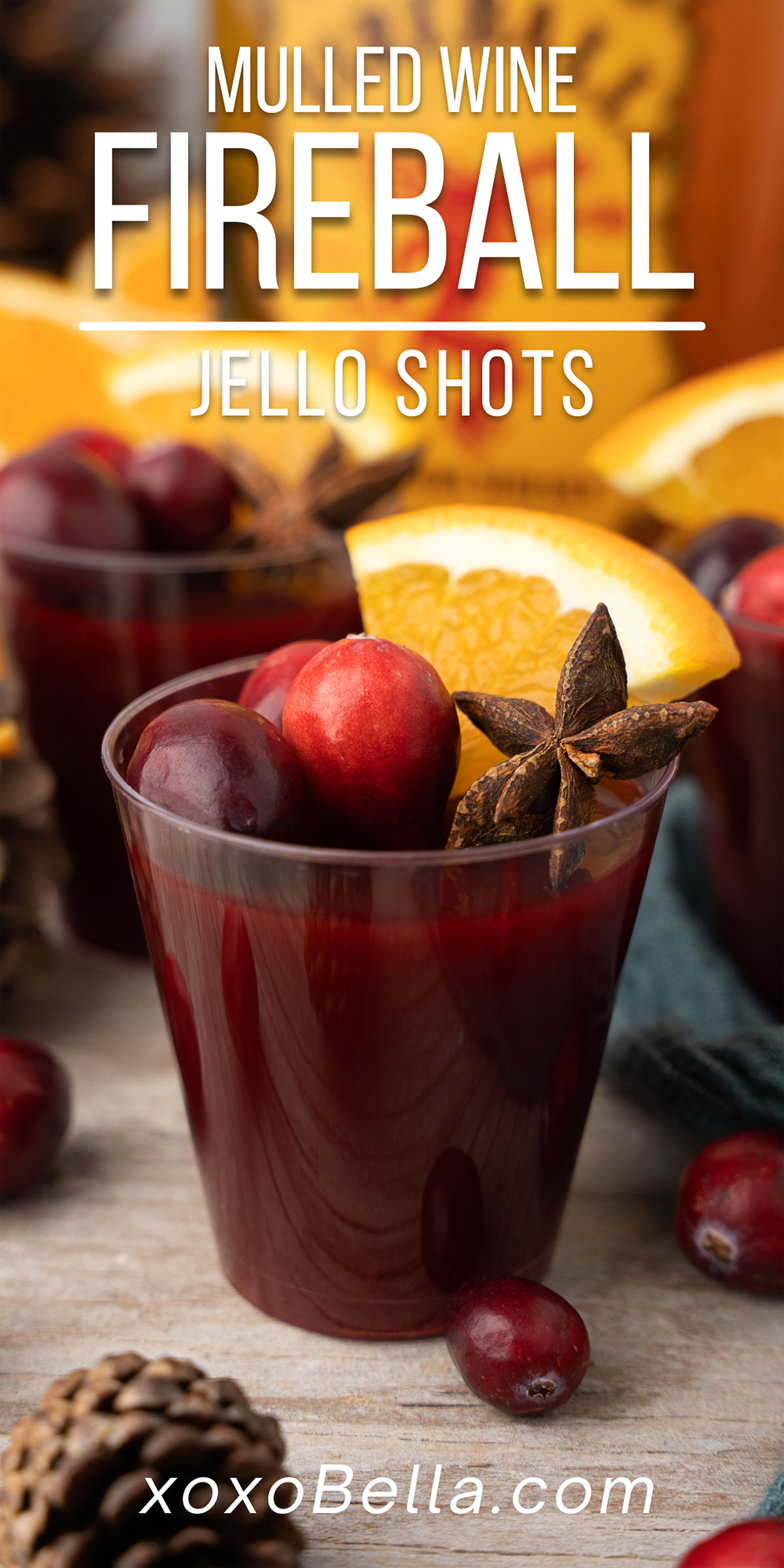 Mulled Wine Fireball Jello Shots xoxoBella