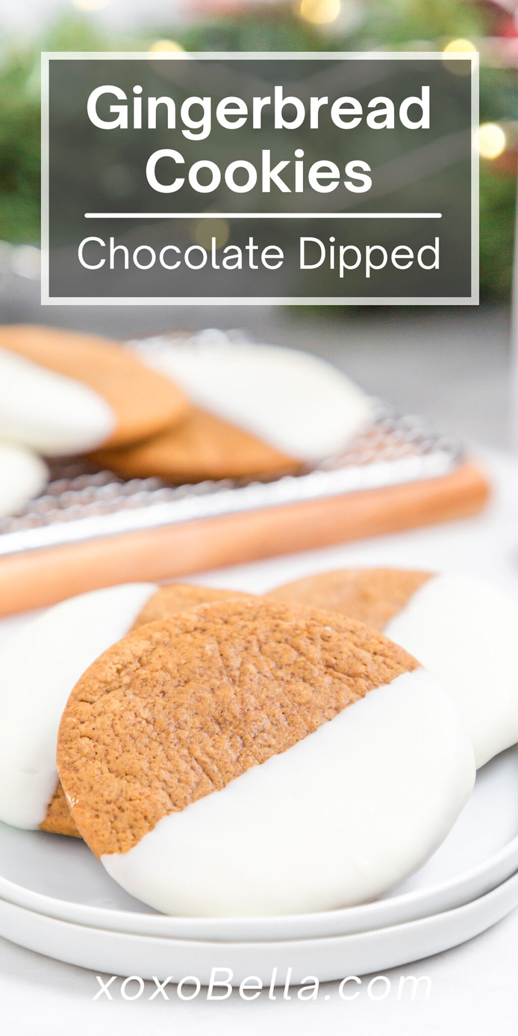 White Chocolate Dipped Ginger Cookies xoxoBella