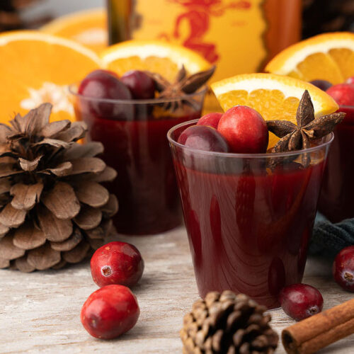 Mulled Wine Fireball Jello Shots xoxoBella