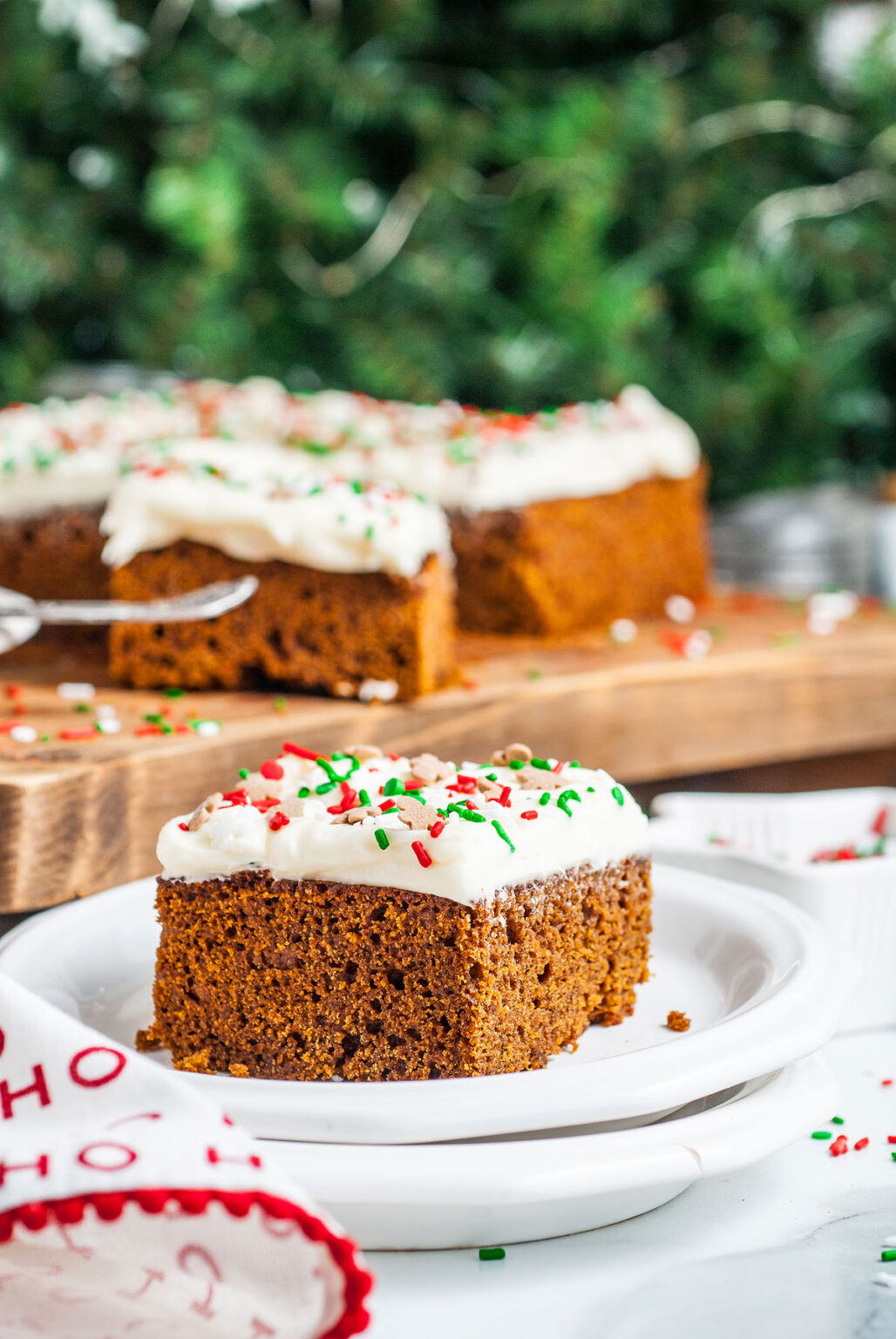 OLD FASHIONED GINGERBREAD CAKE RECIPE WITH MOLASSES visual data 5