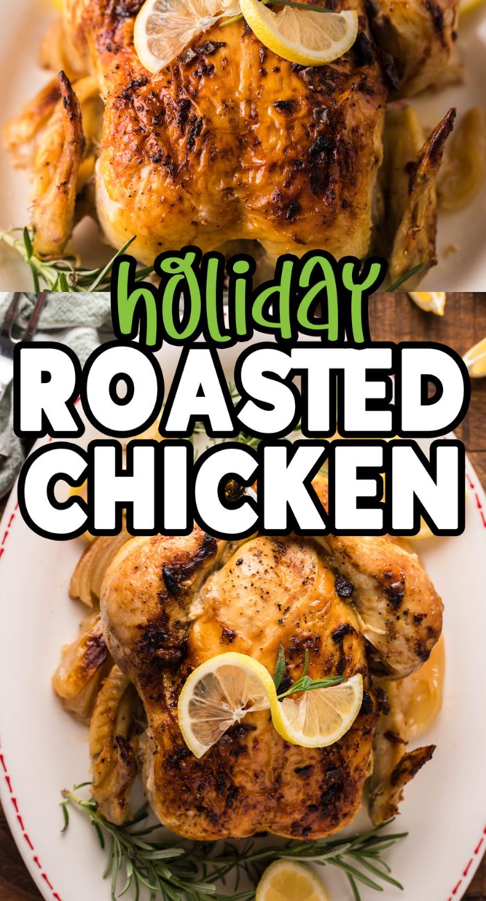 Golden roasted chicken garnished with lemon slices and herbs, this Holiday Roasted Chicken makes the perfect Thanksgiving or Christmas roast chicken centerpiece.