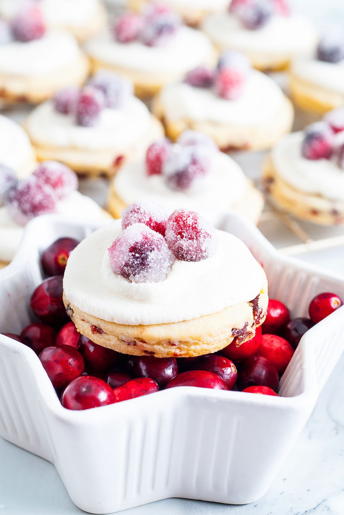 A sugar cookie topped with white frosting and sparkling cranberries, displayed in a star-shaped bowl of fresh cranberries.