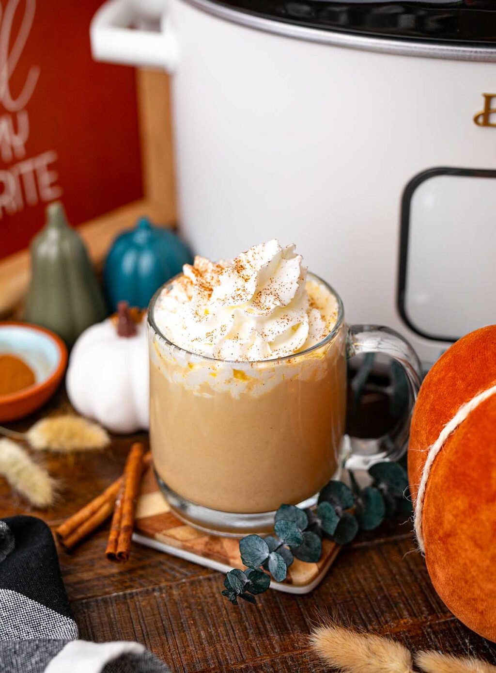 https://xoxobella.com/wp-content/uploads/2023/08/slow_cooker_pumpkin_spice_latte_025-1024x1388.jpg