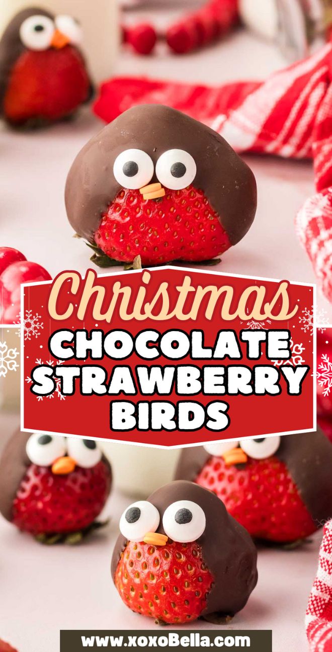 Chocolate Strawberry Birds are dipped in chocolate and decorated as cute bird faces for Christmas, complete with candy eyes and a festive background.