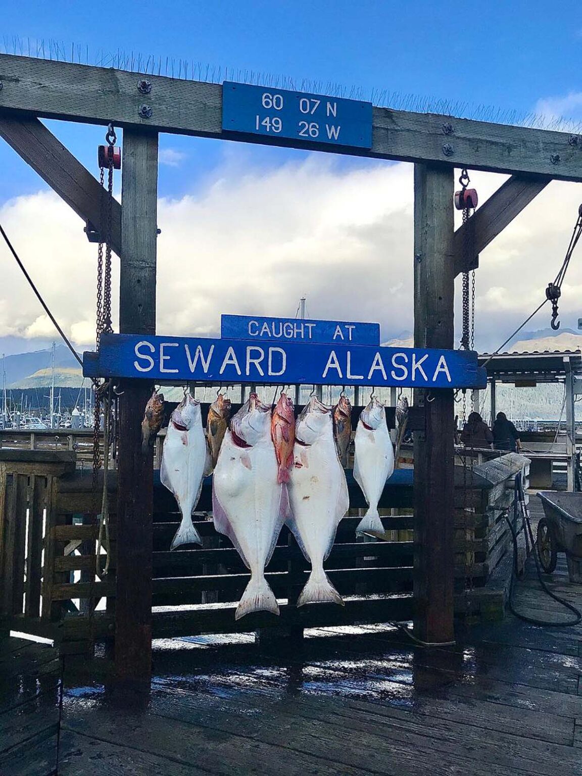 25 Things To Do in Seward, Alaska xoxoBella