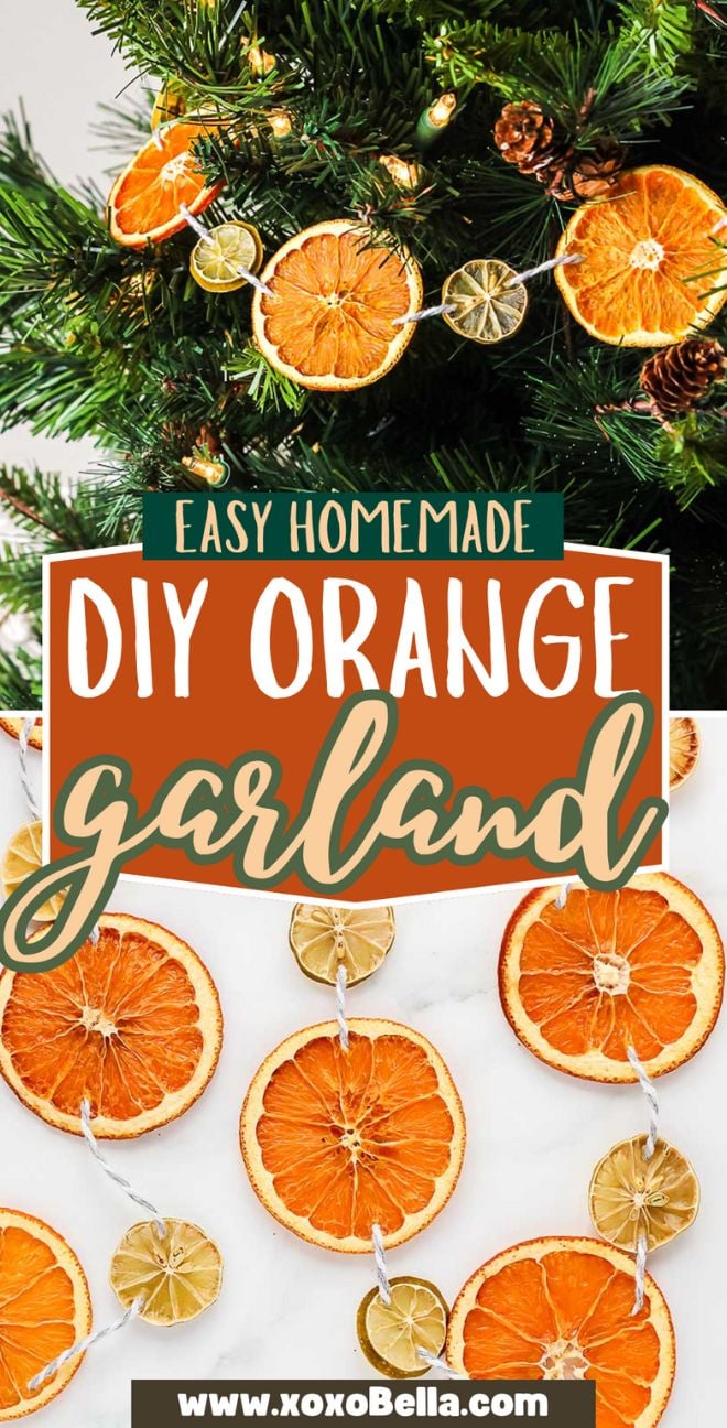 Homemade Dried Orange Garland made from dried orange slices, beautifully displayed on a Christmas tree and laid out on a white surface.