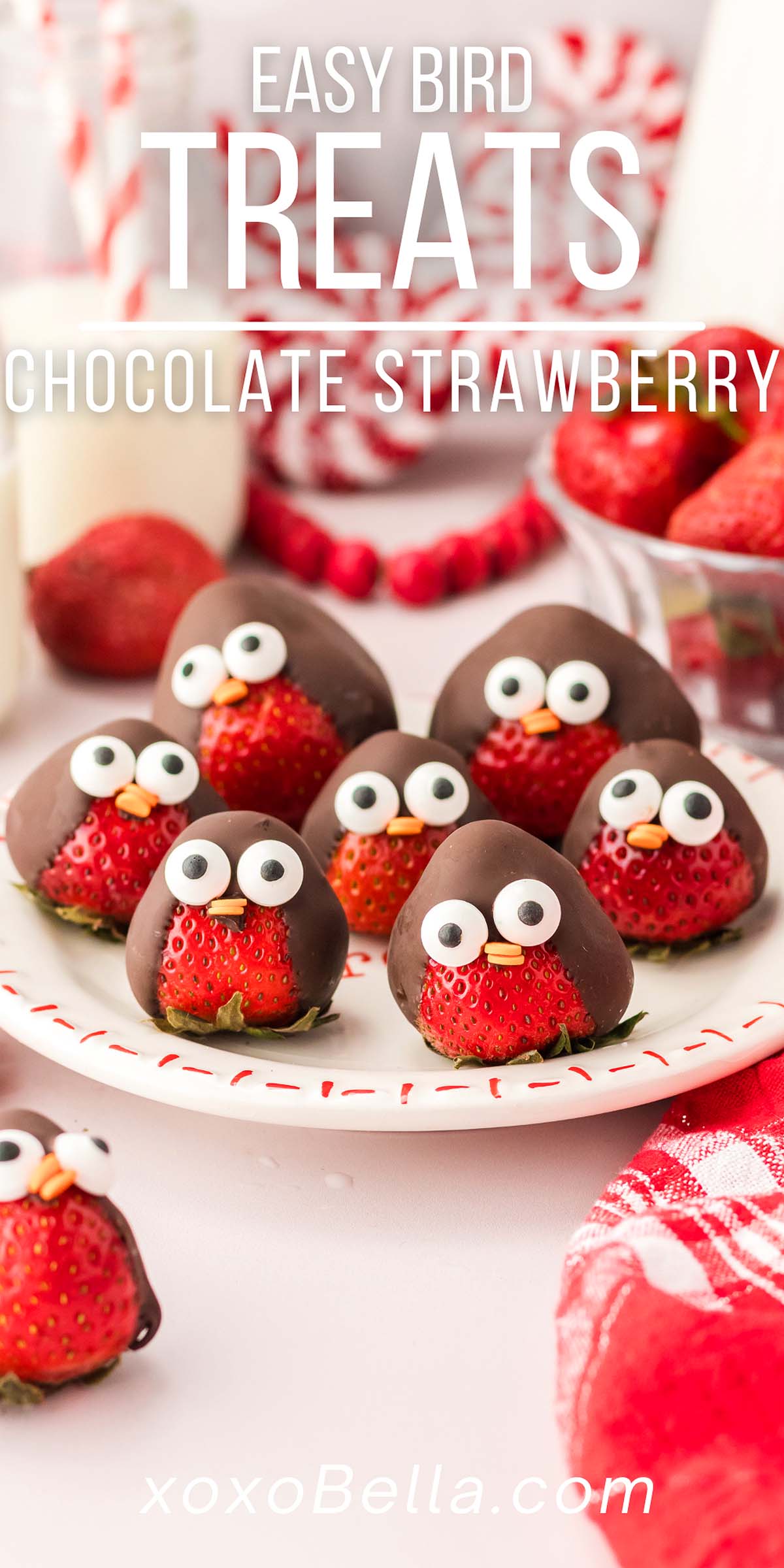 Chocolate Strawberry Birds xoxoBella