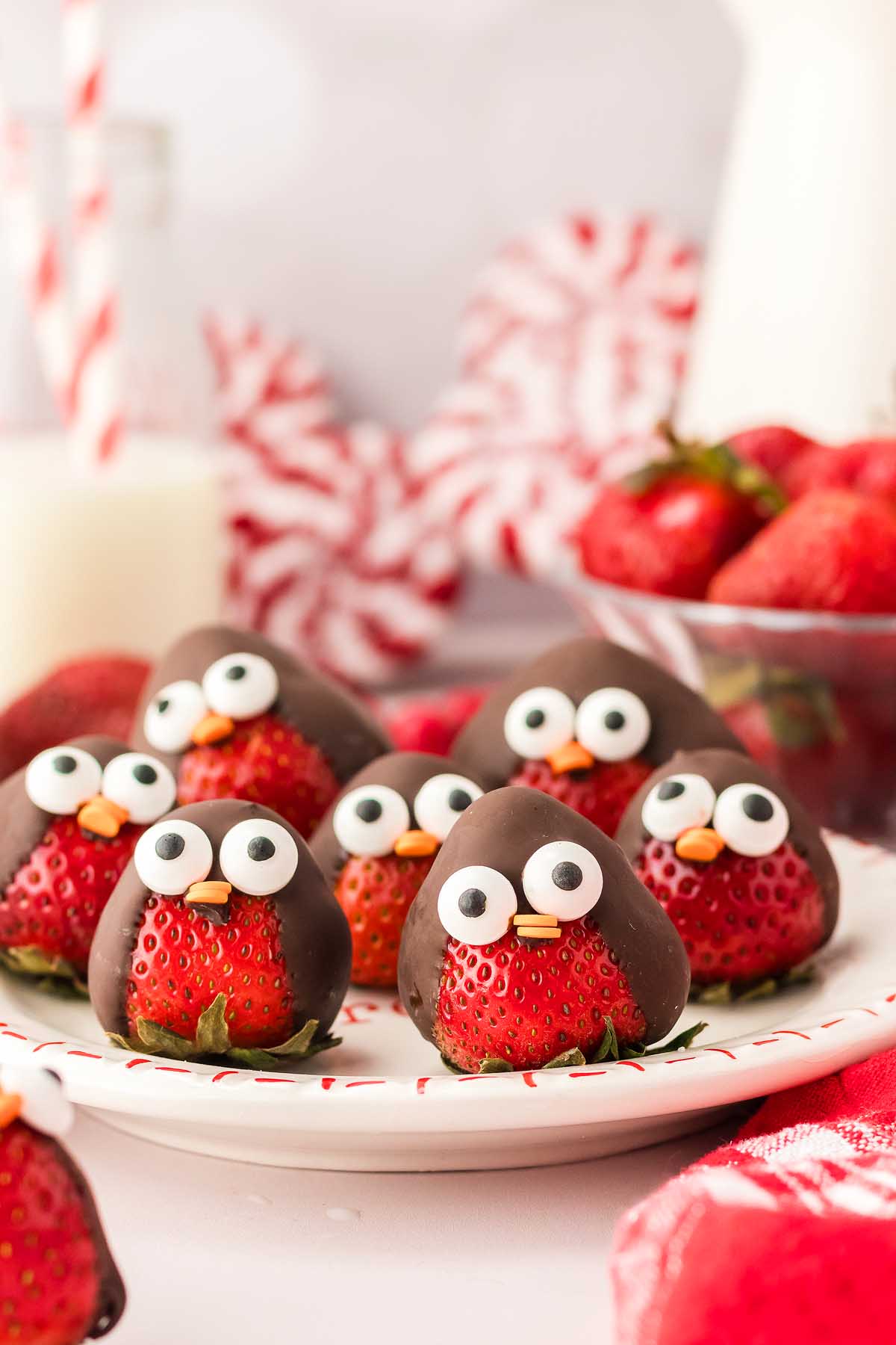 Chocolate Strawberry Birds - xoxoBella