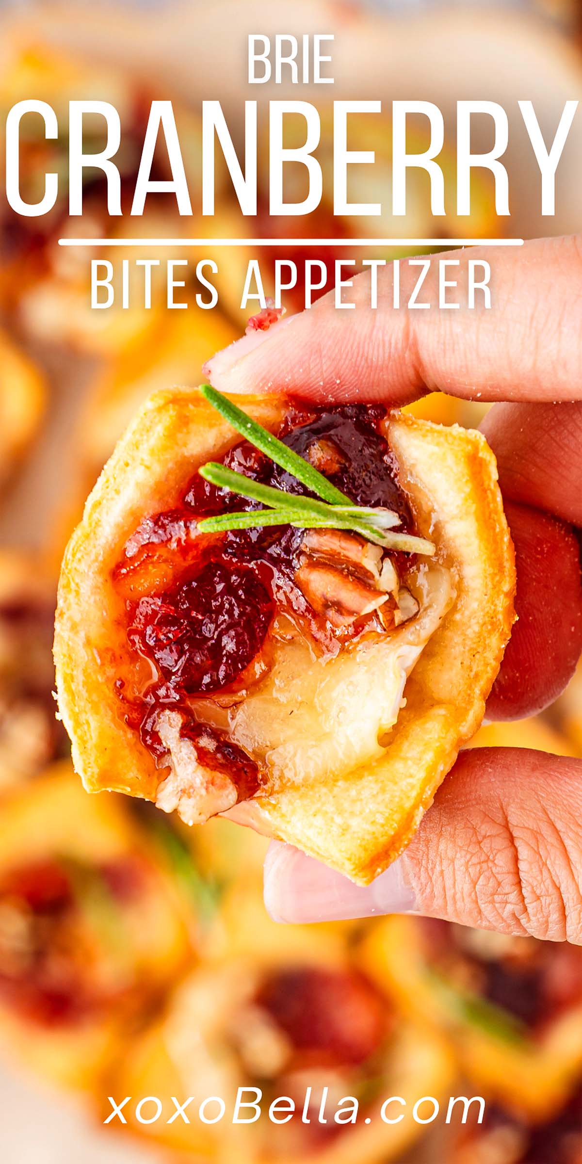 Brie Cranberry Bites Appetizer xoxoBella