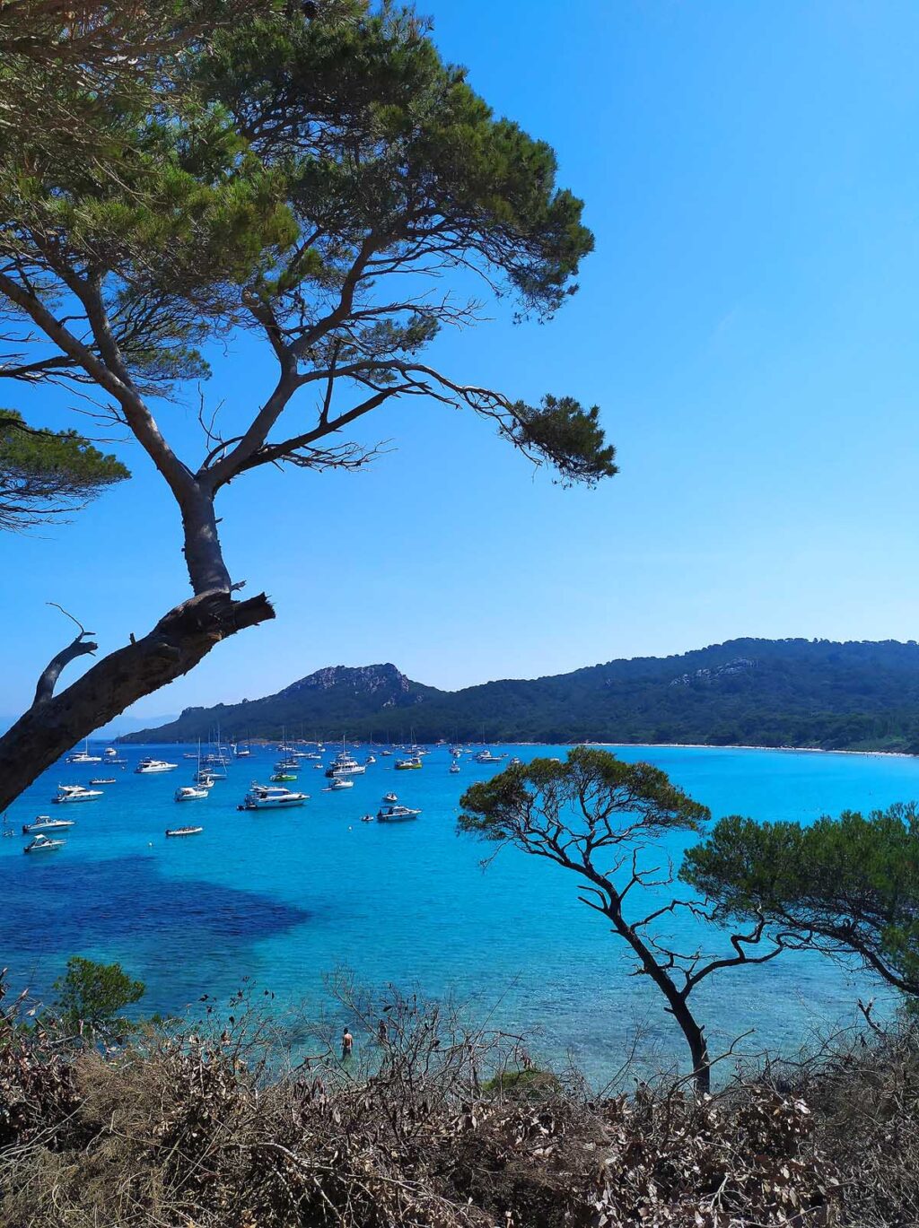 17 Incredible Things To Do in the French Riviera: A Traveler's Guide ...