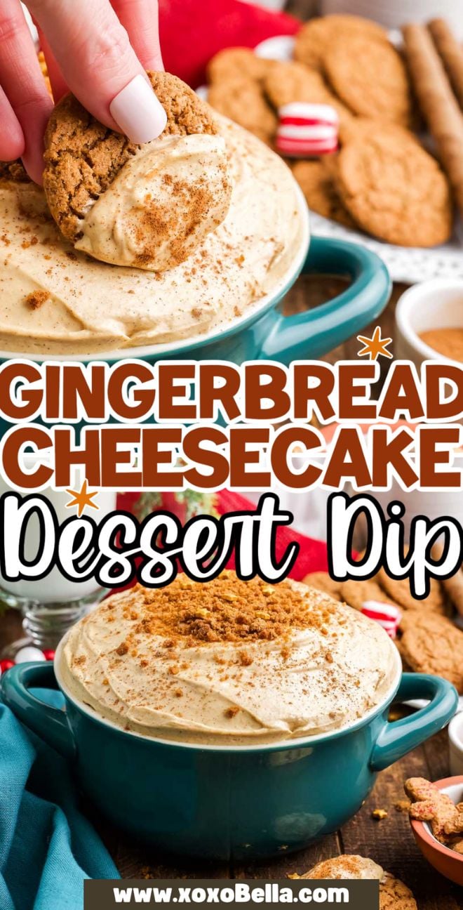 Hand dipping a gingerbread cookie into luscious gingerbread cheesecake dip in a teal bowl, with extra cookies and creamy dip in the background.