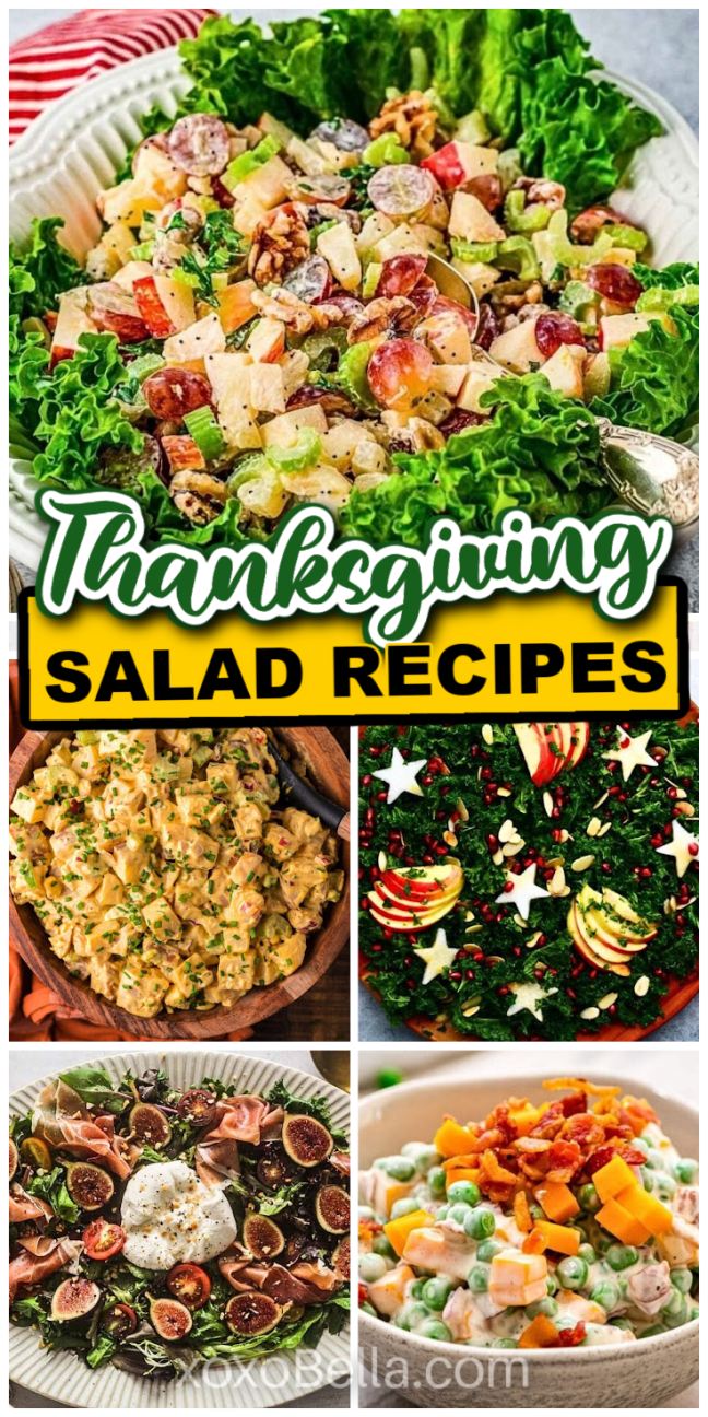 A collage of colorful Thanksgiving salads showcases a vibrant feast, perfect for inspiring your next festive meal.