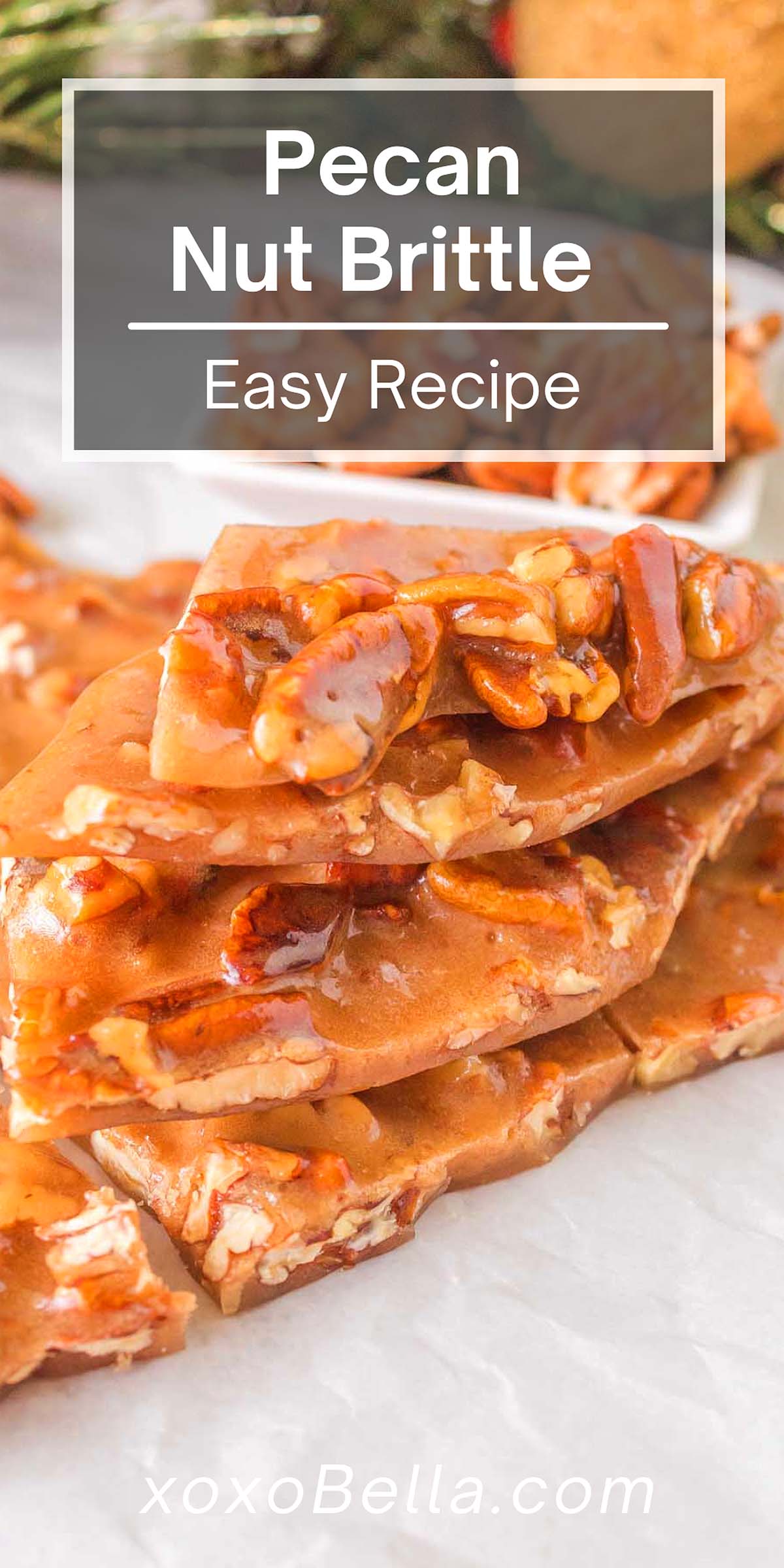 Nut Brittle Recipe xoxoBella