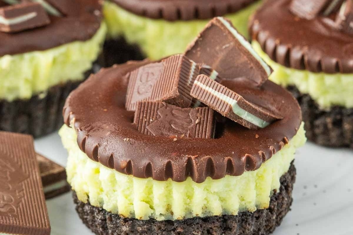         Decadent chocolate and peanut butter cheesecakes are beautifully presented on a plate. Perfect for your next holiday gathering, these delectable treats will surely impress your guests.