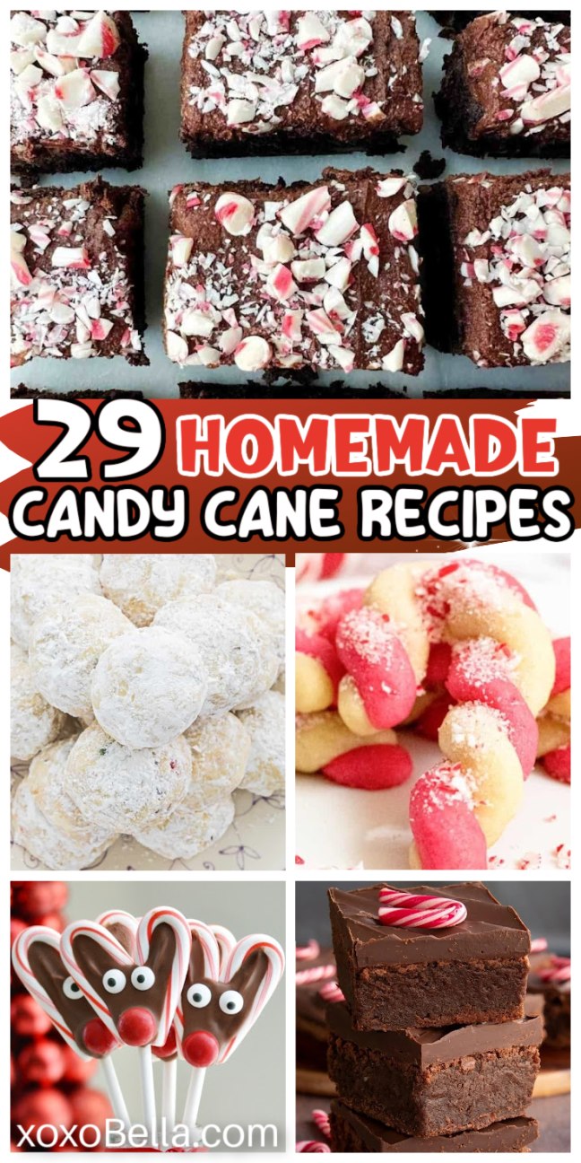 Collage of candy cane desserts, brownies, cookies, fudge, and reindeer lollipops with festive decorations—perfect inspiration for your next batch of candy cane recipes.
